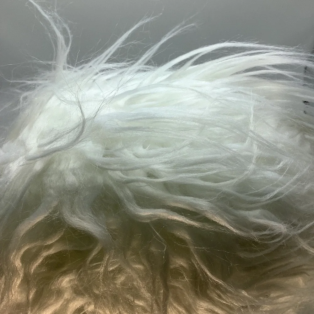Pottery‎ Barn Teen Fluffy Ghost Throw Pillow 14